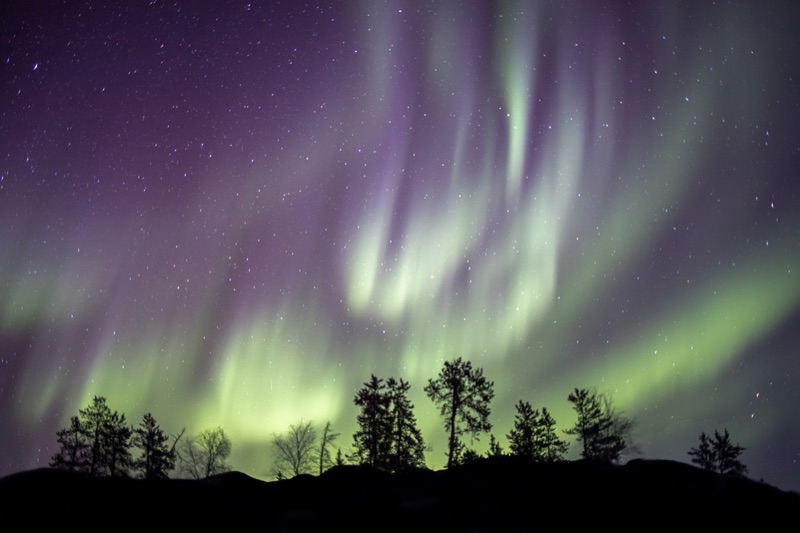 Broad curtains of green and purple aurora filling the sky over a dark treeline