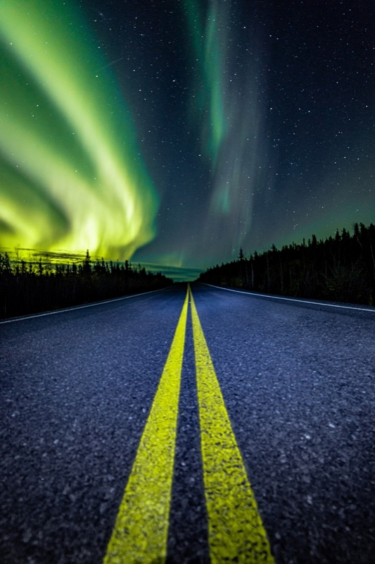 Green aurora above an empty highway at night, the double yellow centre line running away toward a spruce horizon