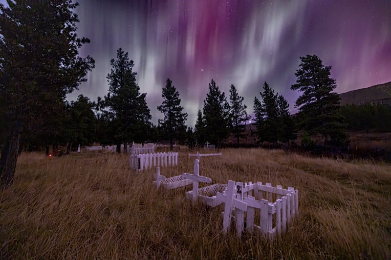 A violet aurora over a pine-ringed cemetery, white fenced plots scattered through dry grass