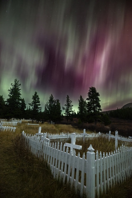 Pink and green aurora above a small cemetery, white picket fences and grave markers in the tall grass