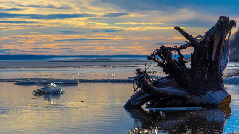 Ice breaking up at dusk, a weathered stump catching the last light — "Deh Cho Break Up", a fine art print by Matthew Archer