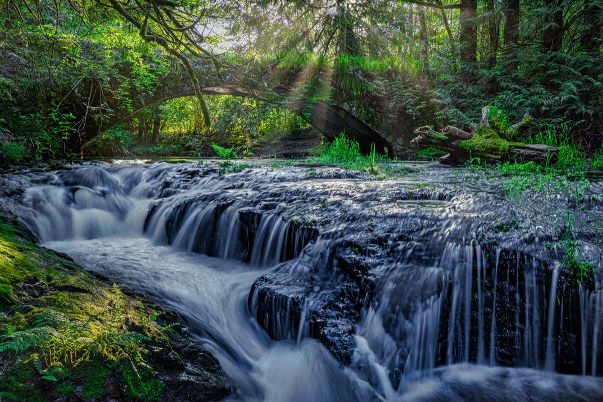 The creek stepping over stone ledges, sunbeams through the canopy — "Shawnigan Creek", a fine art print by Matthew Archer